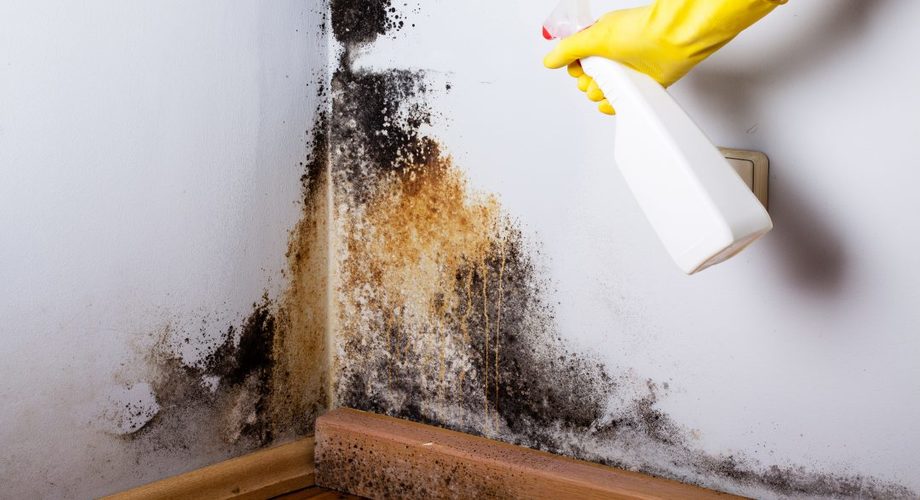 5 Manfaat Penting Waterproofing Rumah, Simak Yuk!